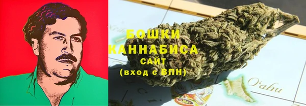 сатива Нефтекумск
