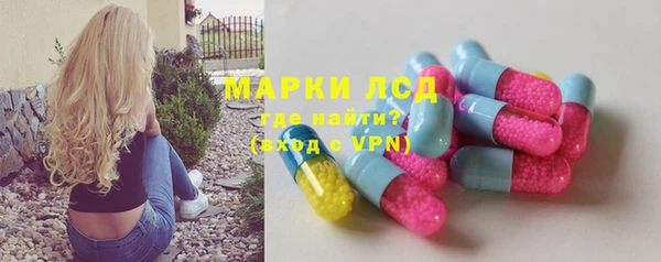 стафф Алзамай