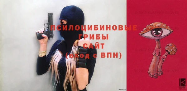стафф Алзамай