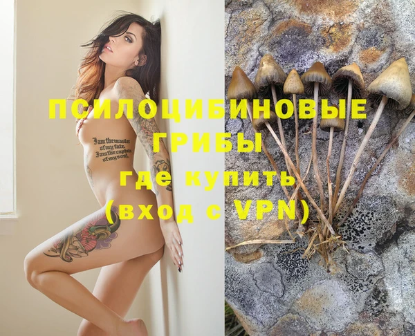 крисы Нефтегорск