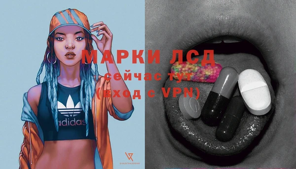стафф Алзамай