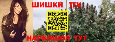 винт Северобайкальск