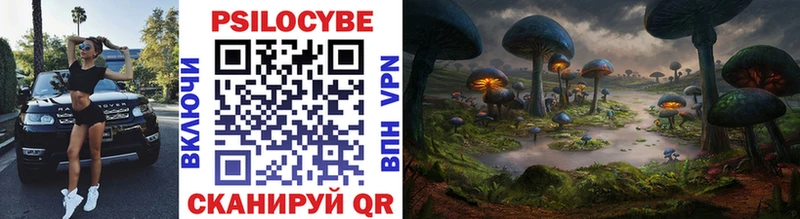 darknet как зайти Чапаевск Псилоцибиновые грибы Psilocybine cubensis