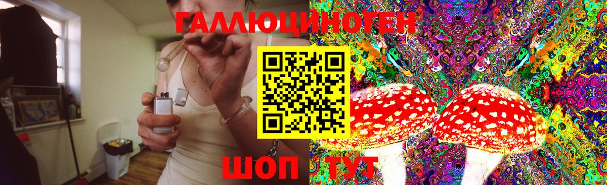 где можно купить   Вход с VPN  Чапаевск  Галлюциногенные грибы мухоморы 