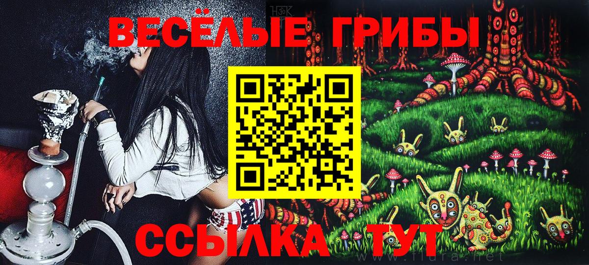 Галлюциногенные грибы GOLDEN TEACHER Чапаевск